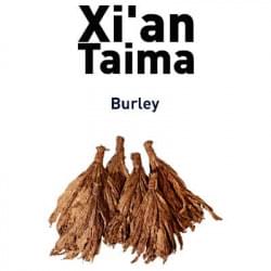 Burley Xian Taima Burley Xian Taima